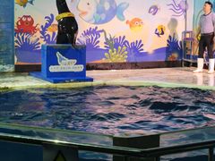 -太平洋海底世界