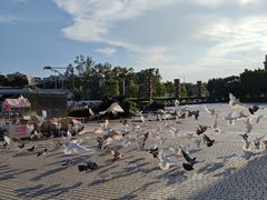 -优托邦(长兴路店)