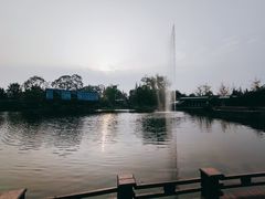 -成飞公园