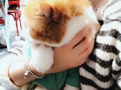 -芭比堂动物医院·犬猫全科·异宠专科(雁塔分院)