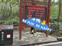 -大屏嶂森林公园