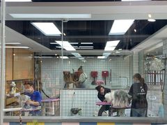 -贝贝宠物乐园(常青花园店)