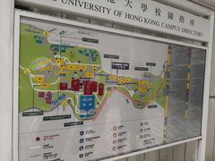 -香港大学