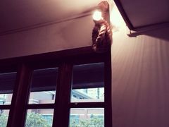 iphone_upload_pic-小条食堂(筼筜天虹店)