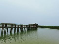 -苏州太湖湖滨国家湿地公园