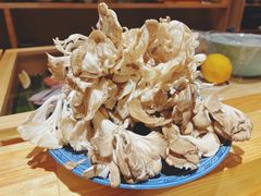 野生舞茸-镹·鱼料理  国产鱼使用店