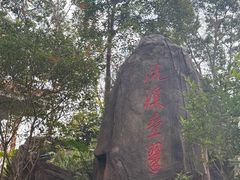 -广州市流溪河国家森林公园