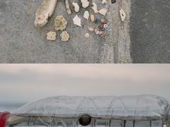 -清水湾旅游度假区