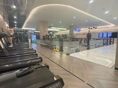 -章鱼健身 Octopus