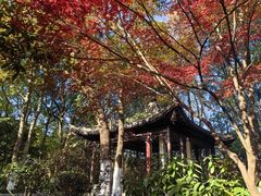 -杭州半山国家森林公园