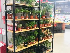 -嘉荣SPAR超市(家和城广场店)