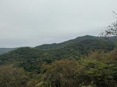 -广州市白云山风景名胜区