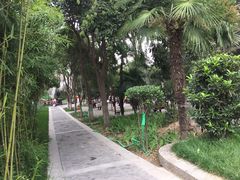 -莲湖公园