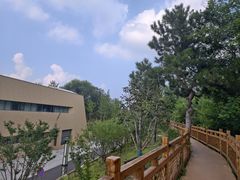 -北京大葆台遗址博物馆