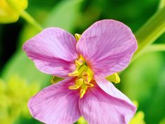 -中国天府农业博览园