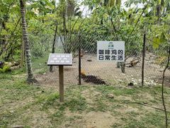 -兴隆隆苑咖啡庄园