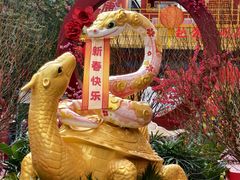 -越秀西湖花市(广州城市广场花卉店)