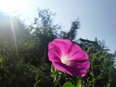 -玉河泉