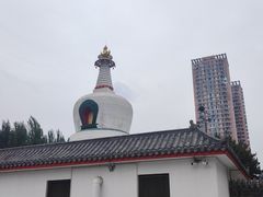 -西塔