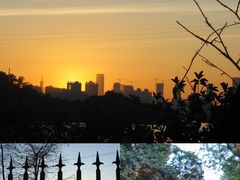 -深圳仙湖植物园