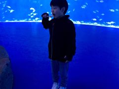 -哈尔滨波塞冬海底世界