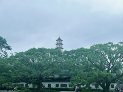 -江心屿景区