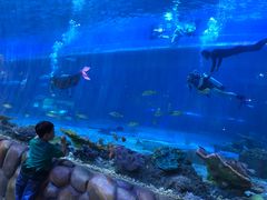 -华夏文旅海洋公园