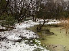 -西湖风景区-江洋畈生态公园