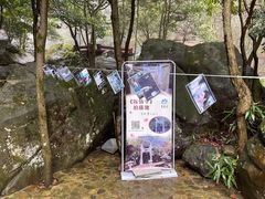 -百杖潭景区