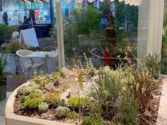 -春树下·树屋花房西餐厅(罍街AS1980店)