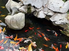 -西林禅寺