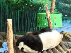 -青藏高原野生动物园