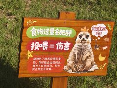 -合肥野生动物园