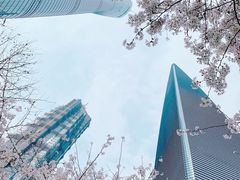 -上海环球金融中心云端足球盛典
