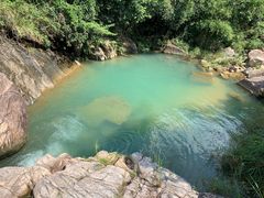 -广州白江湖森林公园