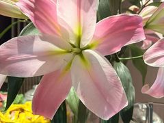 -东方棕泉·洗浴·按摩·美食国际水疗会所(福田店)