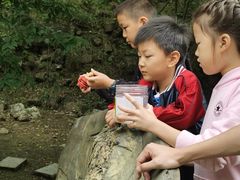 -十渡东湖港风景区