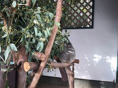 -费瑟代尔野生动物园