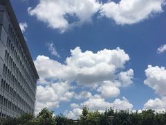 -上海永慈康复医院