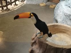 -Zoolung Zoolung动物主题公园(海信广场店)