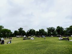 -九科绿洲