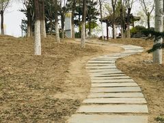 -大兴滨河森林公园