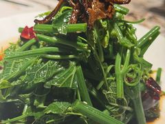 -雀蓝川菜(滨湖万象汇店)