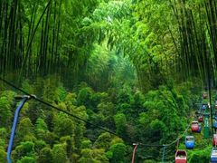 -蜀南竹海景区