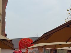 -后湖小院·乡野田园菜