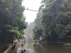 -云南屏边大围山国家公园
