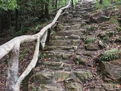 -梧桐山风景名胜区