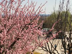 -北京西山国家森林公园