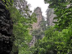 -白草畔自然风景区