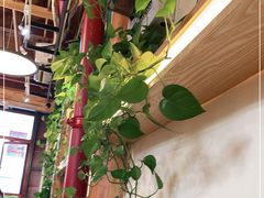 -霸王茶姬(南强街店)